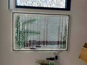 ספרדי-אחרונה